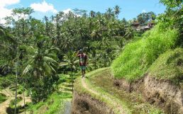 Picture by Marc Velasco